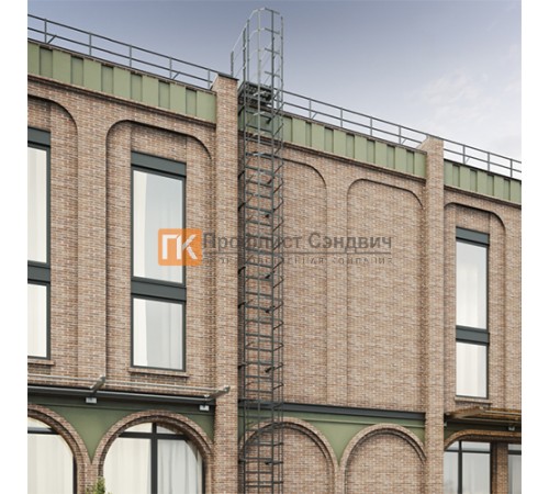 Полотно пожарной лестницы ОЦ РП-ПЛ1-1050 (кроншт. 800 мм)