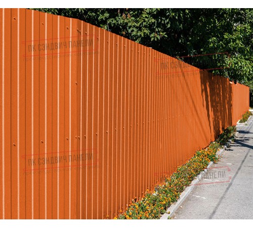 Профилированный лист С8х1150 Norman RAL2004-0.5