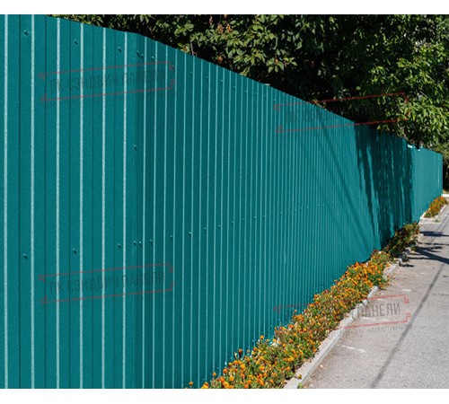 Профилированный лист С8х1150 Полиэстер RAL5021-0.5